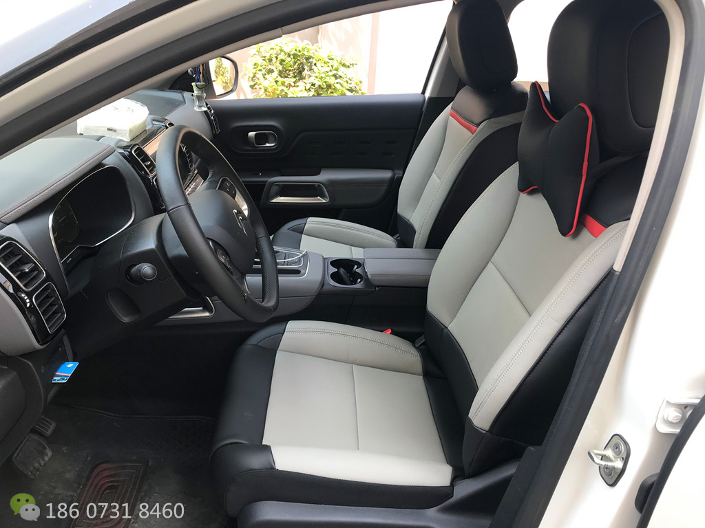 雪铁龙C5天逸草莓APP色板下载