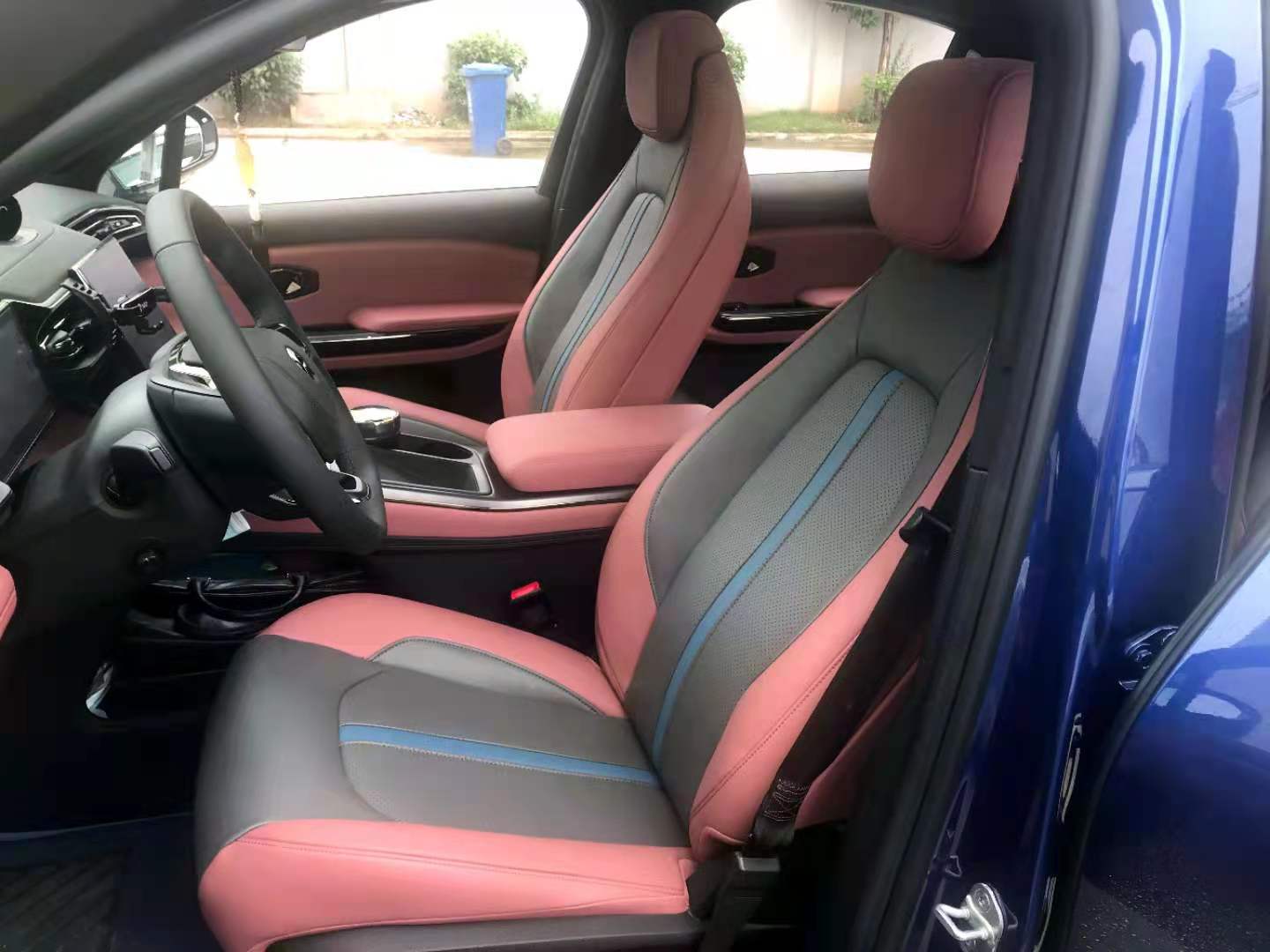 蔚来EC6草莓APP色板下载