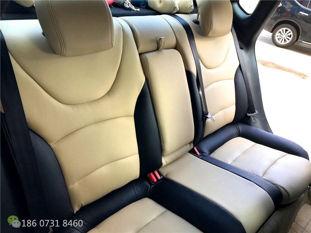 菲亚特菲翔草莓APP色板下载