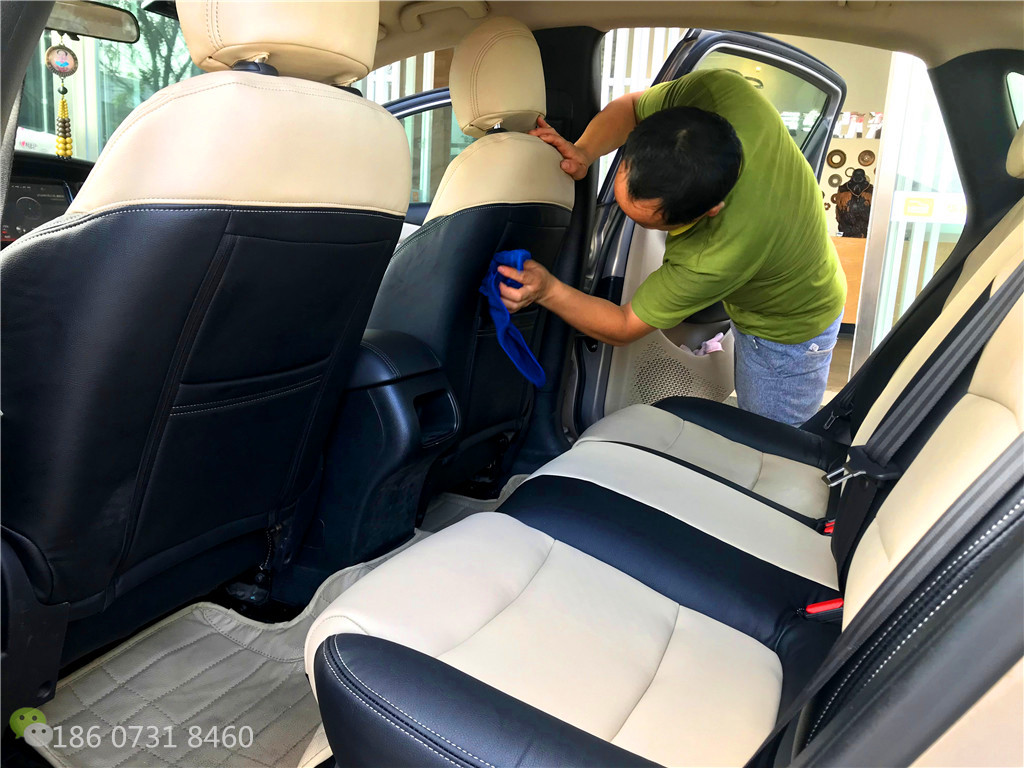 菲亚特菲翔草莓APP色板下载