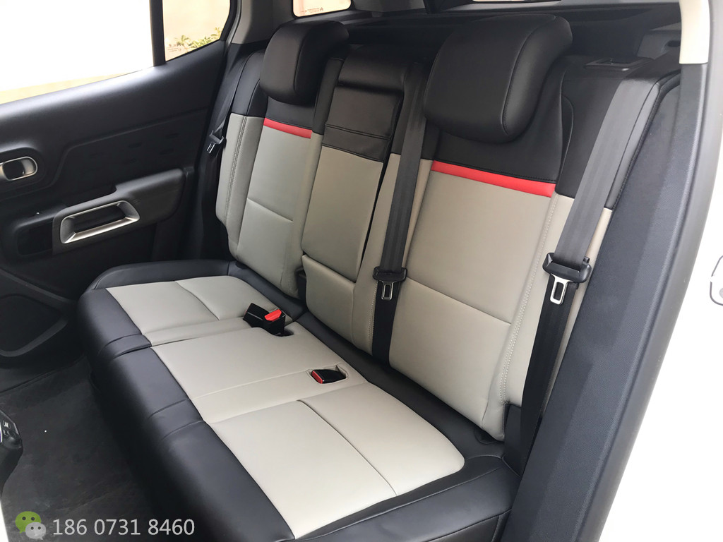 雪铁龙C5天逸草莓APP色板下载