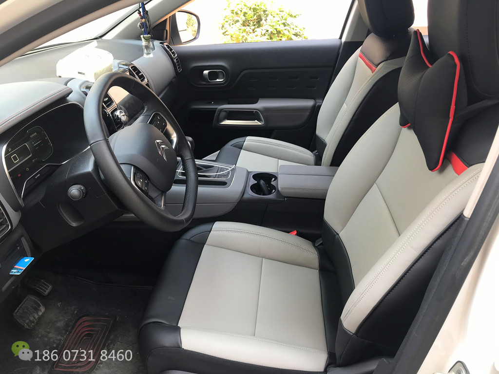 雪铁龙C5天逸草莓APP色板下载